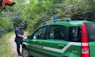 Carabinieri forestali, accertate 694 infrazioni in provincia di Cuneo